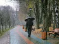 Osoba z parasolem idzie alejką w parku, podczas gdy śnieg delikatnie opada. To idealny spacer przed snem.
