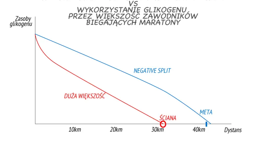 Wykres porównuje wykorzystanie glikogenu w maratonie. Linia czerwona pokazuje, jak większość biegaczy wpada na "ścianę" ok. 30 km, podczas gdy linia niebieska ilustruje strategię negative split, oszczędzającą zasoby do mety.