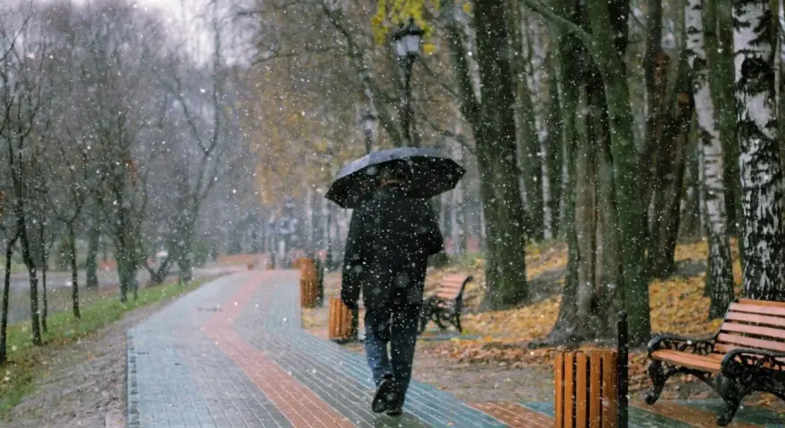 Osoba z parasolem idzie alejką w parku, podczas gdy śnieg delikatnie opada. To idealny spacer przed snem.
