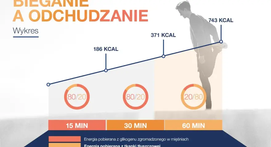 Wykres pokazuje, czy na bieżni można schudnąć. Im dłużej biegniesz, tym więcej kalorii spalasz, głównie z tkanki tłuszczowej.
