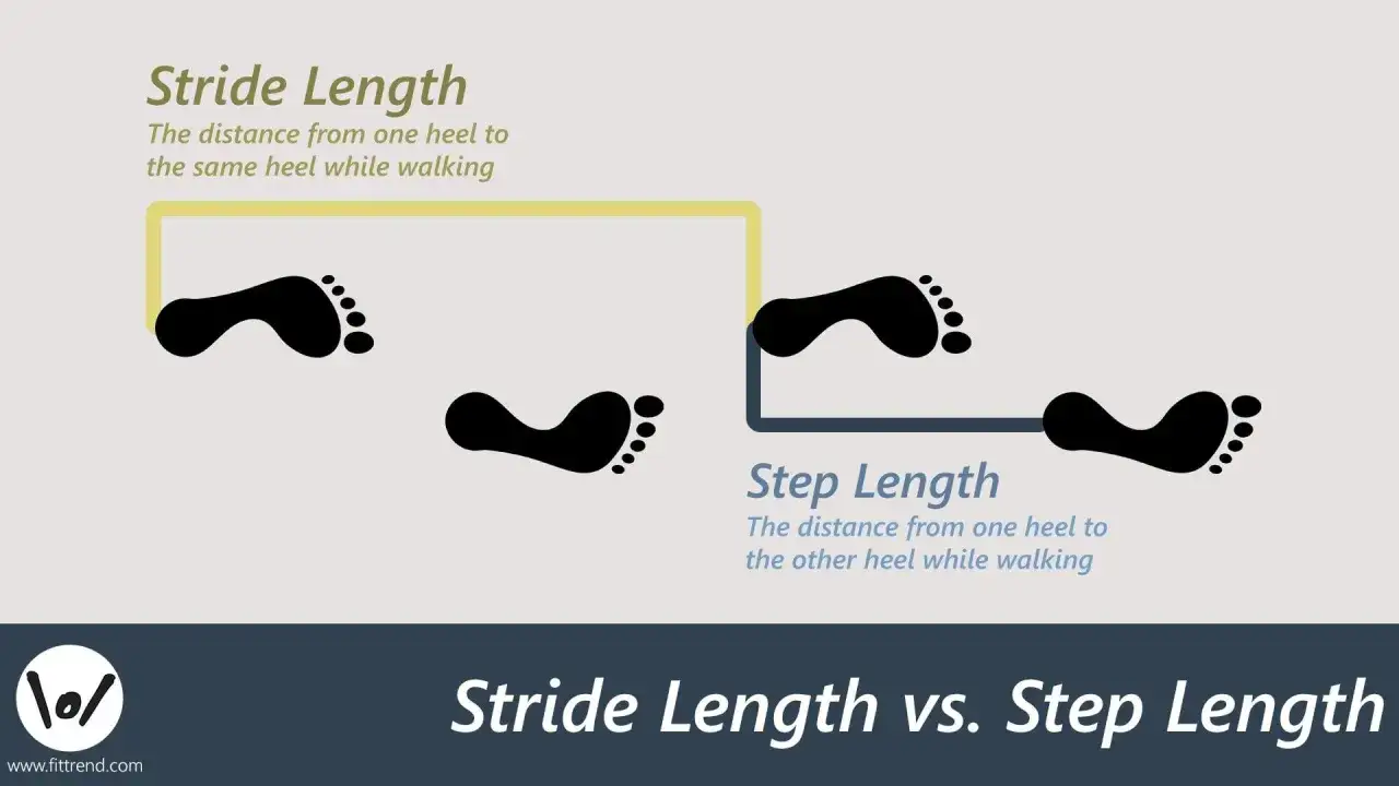 Ilustracja porównuje długość kroku człowieka (stride length) i długość wykroku (step length) za pomocą śladów stóp.
