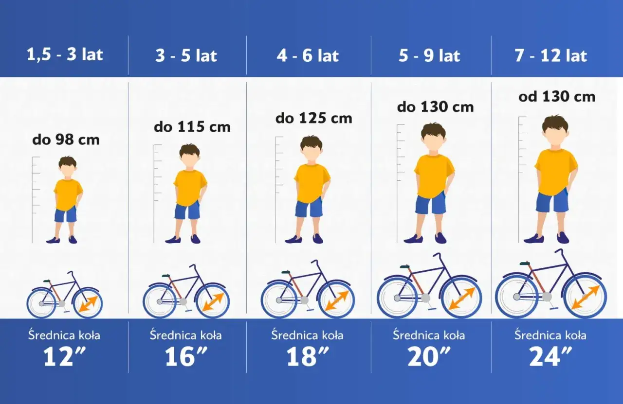 Tabela rozmiarów rowerów: rower 23 cale na jaki wzrost dziecka? Od 130 cm wzrostu, dla dzieci w wieku 7-12 lat.