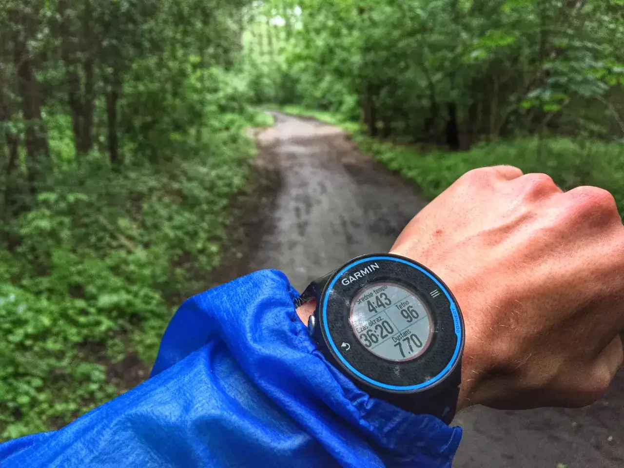 Zegarek Garmin pokazuje średnie tempo biegu 4:43 min/km. Dłoń w niebieskiej kurtce na leśnej ścieżce.